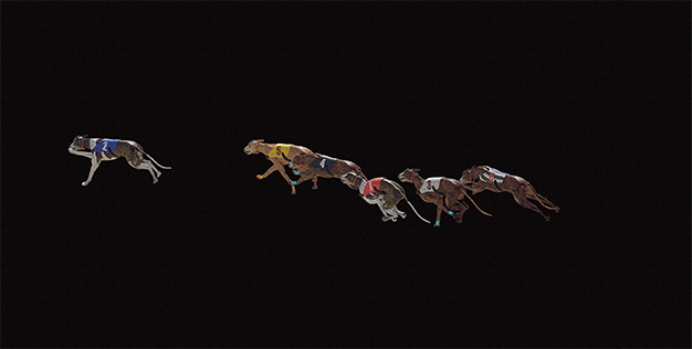 Isolated matte pass of the dogs on black, separated from the stadium background plate