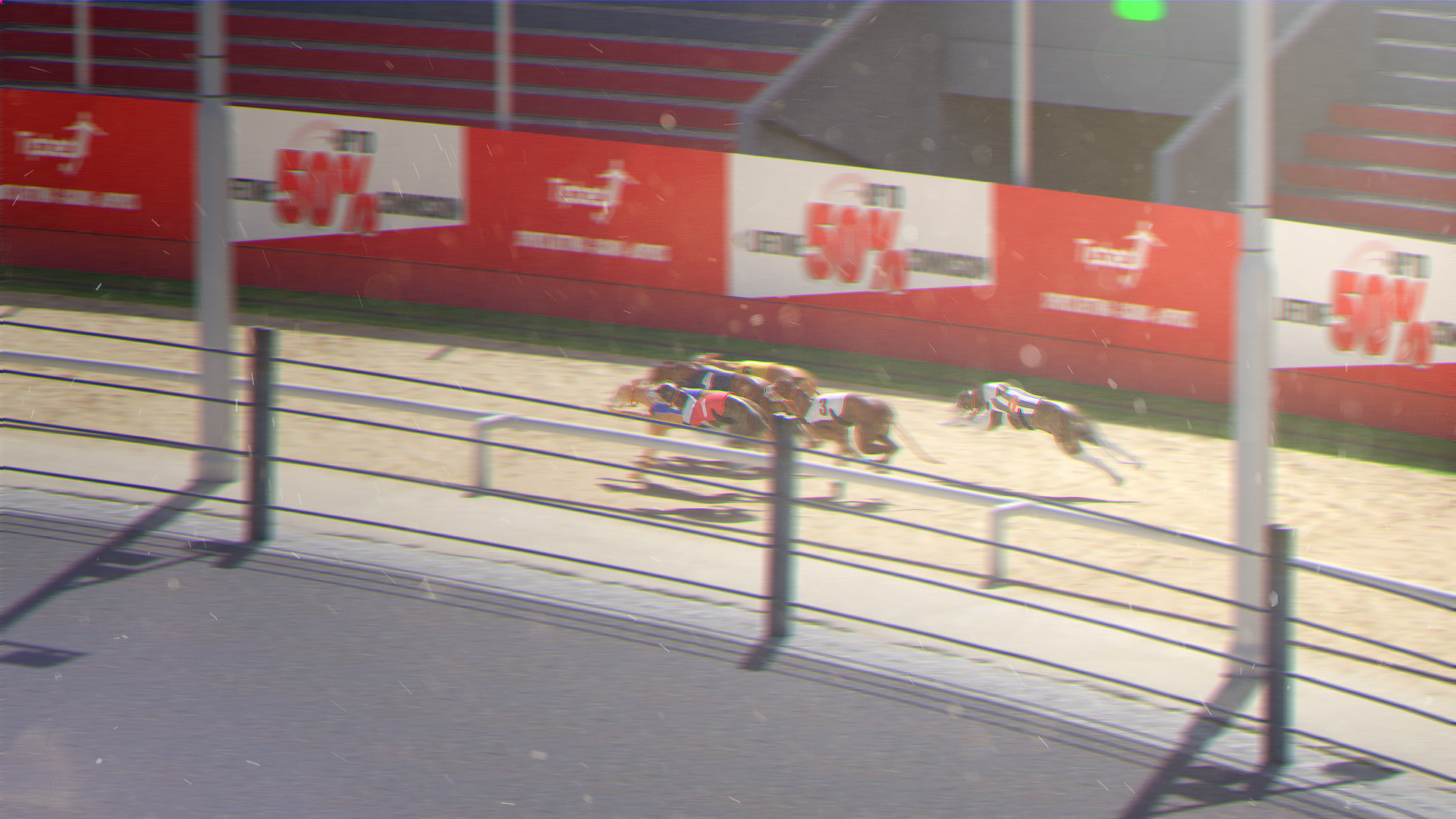Wide broadcast-style shot of the greyhound pack racing along the trackside advertising boards