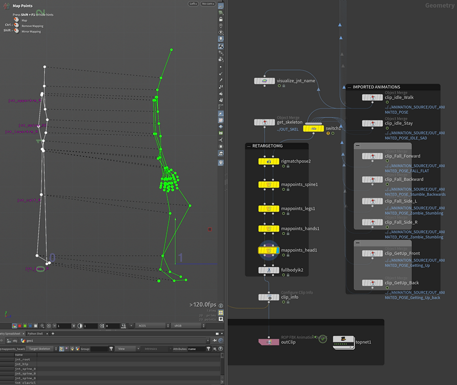FBX Export and animation retargeting