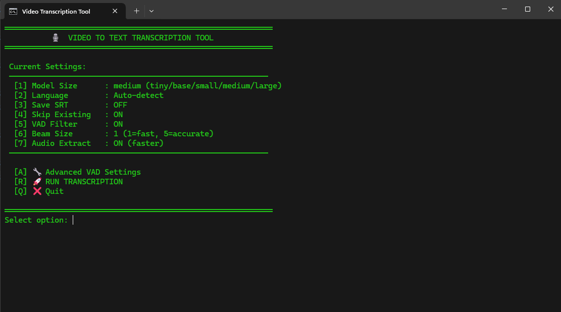 Video-to-Text Transcription Tool - Interface
