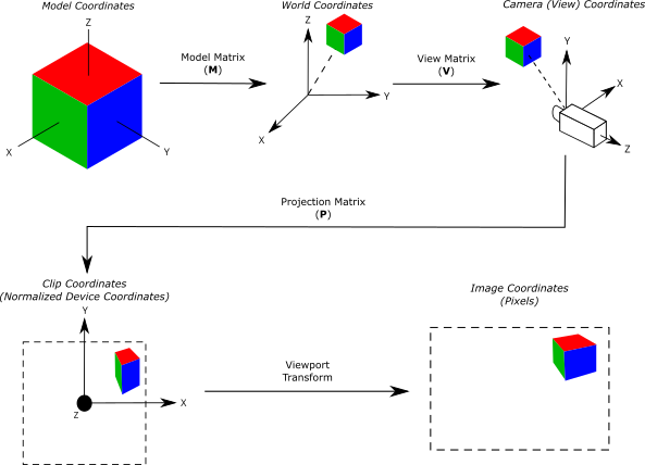 Vertex transformation pipeline from model coordinates through world, view, clip, and image coordinates